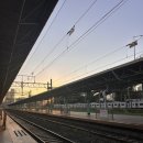 로니의 기차 이미지