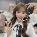 사쿠라 티스토리