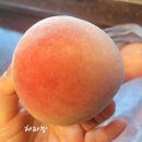 천안 신불당/브런치가든~브런치맛집/THE과일~과일맛집/바를추한방병원 ~병원맛집?ㅋㅋㅋ