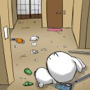 옷꼬