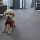 성지동물병원 이미지