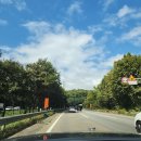 20241020 일요일 좋은 아침... 이미지