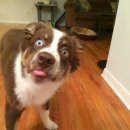 베스트정비 이미지