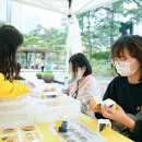 벨리 게임랜드 이미지