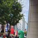 구세군사관학교 | 덕수궁 야간산책