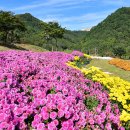 내미로리 이미지