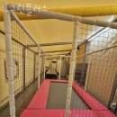 대부도펜션플러스 | 대부도펜션 휴그린플러스 경기도가볼만한곳 대부도 호캉스추천 수영장펜션!