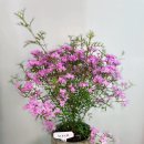 [10/25]가드닝 클래스 이미지