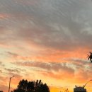 강남대로12길 41 이미지