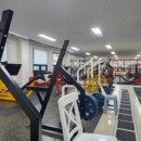 머슬헬프 이미지