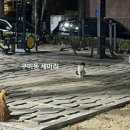 뒷구미 어린이공원 이미지