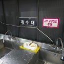 명지신도시 셀프세차장 이미지