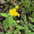 174:바람의 고향 이미지