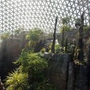 거제식물원 이미지