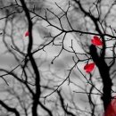 그대애개 이미지