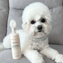 로니펫 | 강아지 스킨케어 추천/ 촉촉하게 맑게 자신있게/ 페페로니펫 오트밀 스킨케어 3종 사용후기