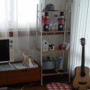 뻐꾸기PC 이미지