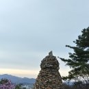 금능초등학교 이미지