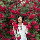 글레버 | [대전 대청호 카페] 딸과 함께한 힐링 드라이브, 굴뚝빵이 맛있는 감성 카페 '글레버'