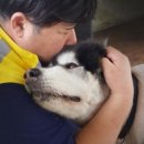 개ST하우스 네이버블로그