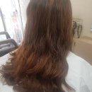 르미헤어 이미지