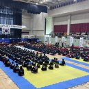 코리아합기도 | 진영읍 합기도 – 진영실전합기도, 양산시장기전국합기도대회에서 빛난 아이들의 성장