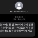 메이플피시 이미지