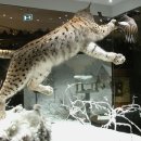 베스트메디컬 이미지