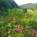 드림농장 이미지