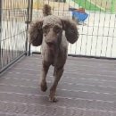 관산리마을회관 이미지