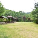 태학산자연휴양림 이미지