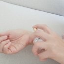 블루엘 | 은은한향수 브랜드 베르니엘 퍼퓸 블루아이리스 아이리스향수 솔직후기