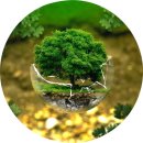 생태교육 | [ 교육 후기 ] 생태환경교육