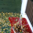 양평-용문-용문-1 이미지