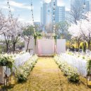 뉴욕뉴욕 이미지