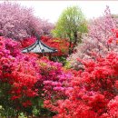 완산공원(아래) 이미지