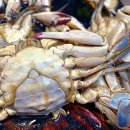 망원동월드컵시장 이미지