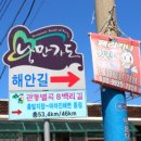 금화천 티스토리