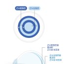 바른아이안경, 콘택트 네이버블로그