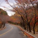 비로봉막걸리 Daum카페