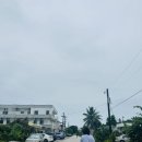 두전농장 | 사이판 여행 둘째날🏖️