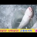 20230126 김포 고정낚시터 송어얼음낚시 마커(연주찌)채비, 초릿대(끝보기)낚시 입질, 챔질, 랜딩, 인증샷 이미지