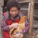 베이커리샤워 네이버블로그