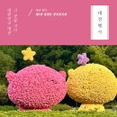장미화장품 - 미추홀구 경인로 377 | 대전 행사, 제3회 대청호 장미전시회 후기