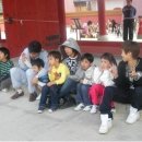 태권돌이 이미지