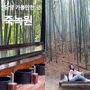 담양 죽녹원 정문 한옥 족욕 카페 등 비와도 가볼만한 곳 많아