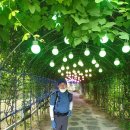 독산봉수지 이미지