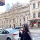 코우스짐 | 호주 멜버른 퍼핑빌리 필립아일랜드 펭귄퍼레이드 땡스투어 후기