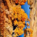 현성목장 이미지