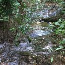 강대농장 이미지